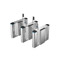 DAHUA DHI-ASGY520C-D1 Турникет